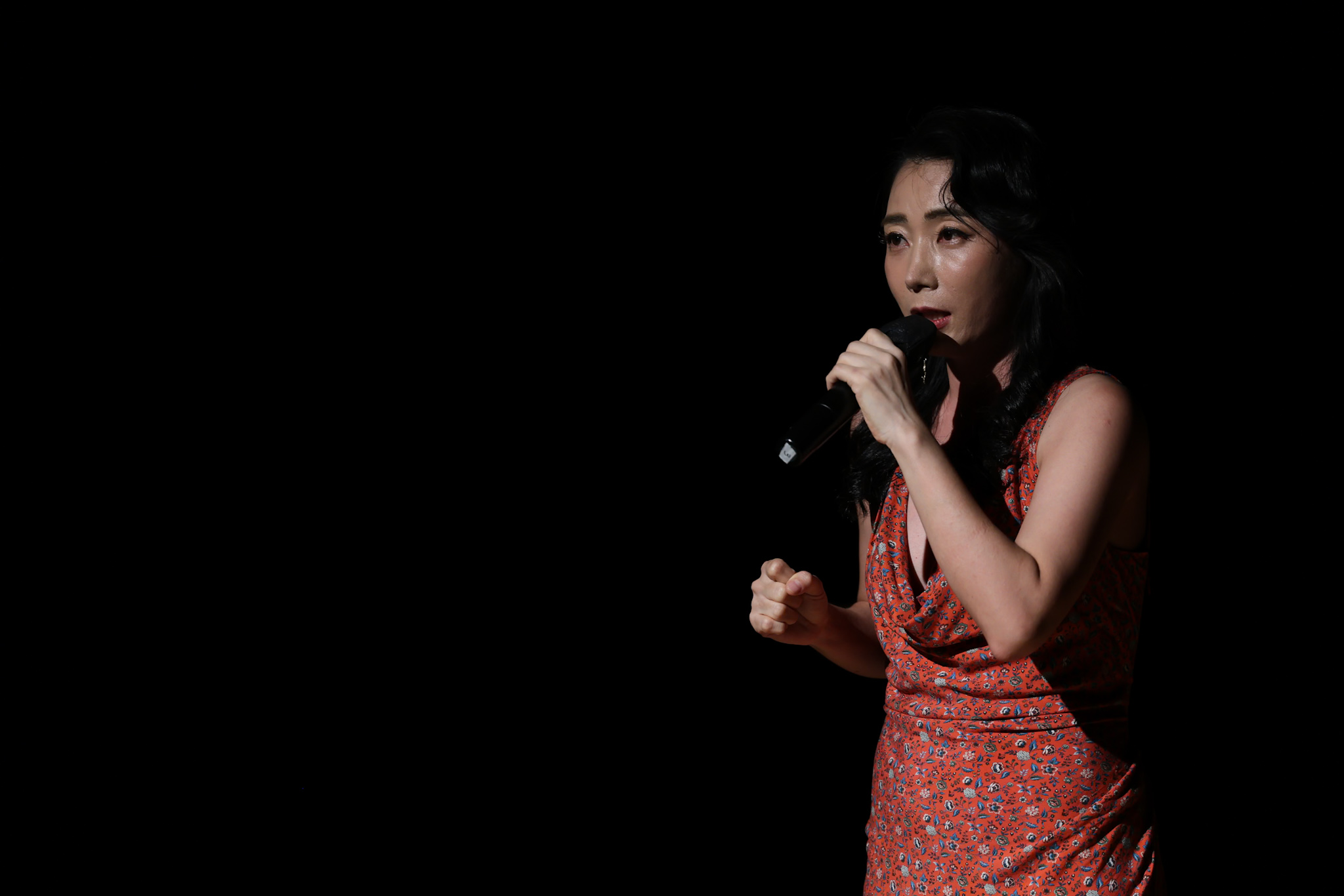 THE CONCERT 14