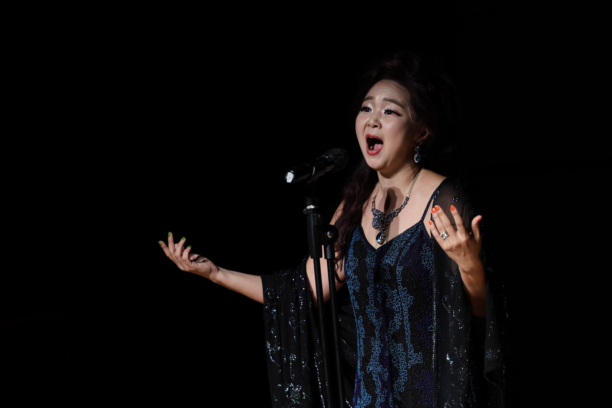 THE CONCERT 15