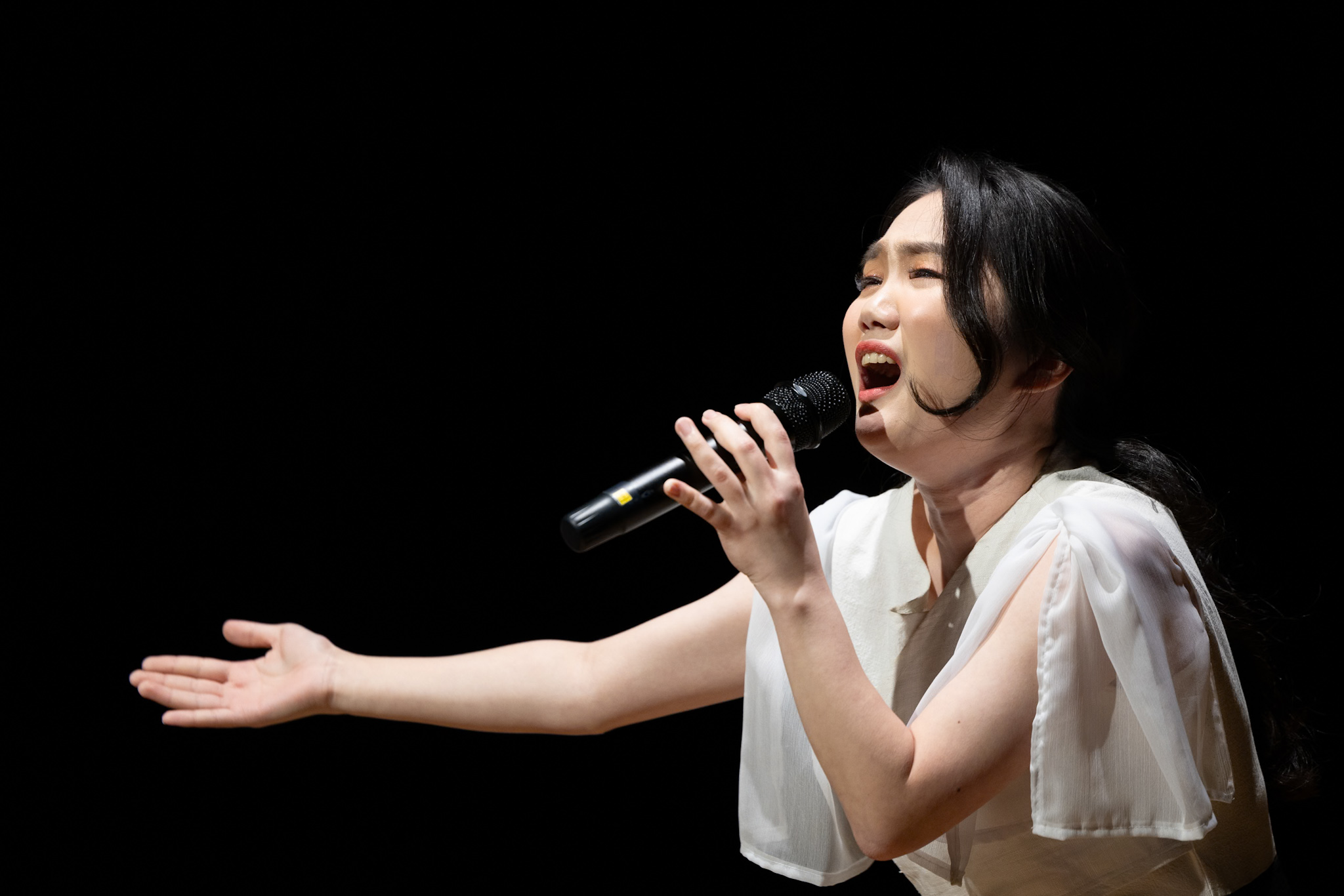 THE CONCERT 30